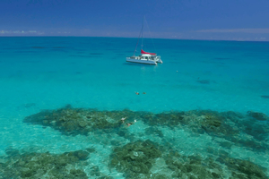 Cairns: tour di snorkeling nella Grande Barriera Corallina con pranzo