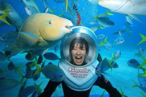 Cairns: Green Island e Seawalker Helmet Dive Combo