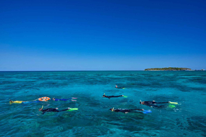 Cairns : visite d'une journée à Green Island avec plongée