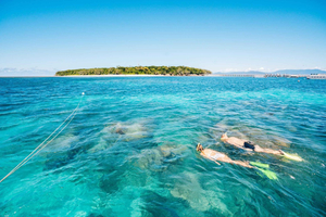Cairns: snorkling på Green Island eller glassbunnbåt