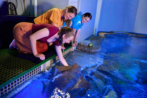 Cairns: Marine Life Encounter