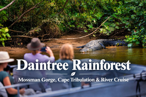 Daintree: tour di 1 giorno con Mossman Gorge, Cape Tribulation e crociera