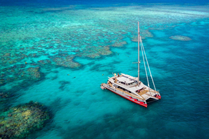 From Cairns: Great Barrier Reef Cruise by Premium Catamaran