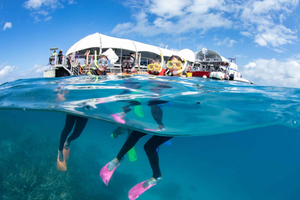 From Cairns: Great Barrier Reef Pontoon Experience