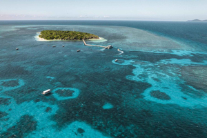 Da Cairns: crociera pomeridiana di mezza giornata a Green Island