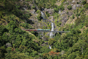 Da Cairns: Tour di Kuranda con trasferimento