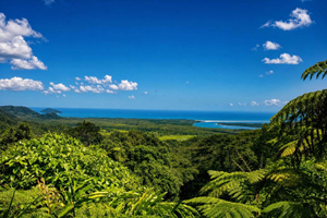 tour di 1 giorno a Cape Tribulation con guida