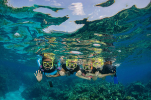 Da tour della Grande Barriera Corallina e snorkeling con pranzo