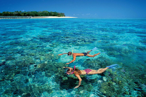 Pacchetto volo e crociera sull'Isola Verde