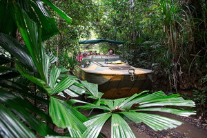 Kuranda: Park przyrody Rainforestation