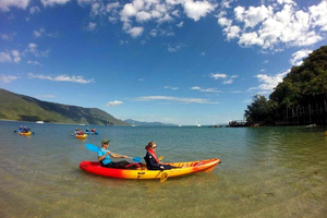 Palm Cove: Halvdagstur med guide i kajakk for å se skilpadder