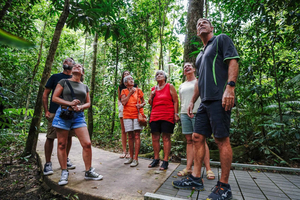 Port Douglas: il meglio della foresta pluviale di Daintree in un tour di un giorno