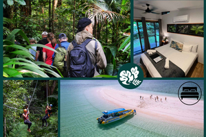 Port Douglas: Daintree Rainforest, Ziplining & Reef - 2 Days