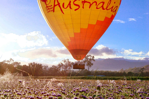 Port Douglas: volo panoramico in mongolfiera