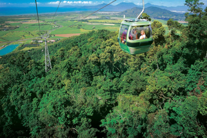 Port Douglas: World Heritage Forest by Skyrail & Scenic Rail