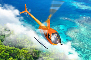 Reef Rainforest Fusion 45 minuti di volo panoramico