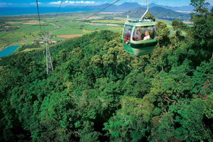 Esperienza di andata e ritorno con la funivia della foresta pluviale Skyrail