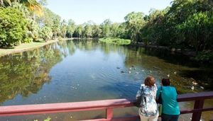 Cairns Botanic Gardens