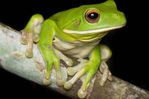 Cairns Experiences: Embrace the Season's Beauty