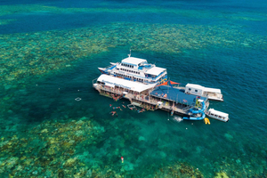Snorkeling in Cairns: Dive into the Tropical Waters