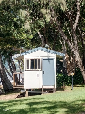 Clifton Beach