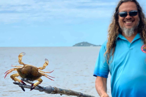 Unveiling Cairns' Seasonal Treasures: Book Now