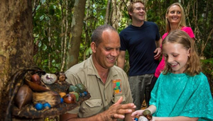 Djabugay Aboriginal Guided Rainforest Walking Tour