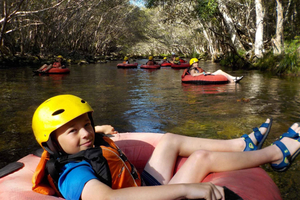 Cairns Rainforest Adventures: Immerse Yourself in the Lush Greenery