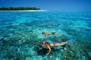 The Ultimate Guide to Seasonal Experiences in Cairns