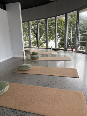 Holistic Wellness Clinic + Bodies of Steel