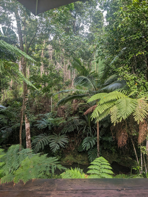 Issani Daintree Day Spa & Ayurveda