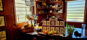 Monis botanical cafe