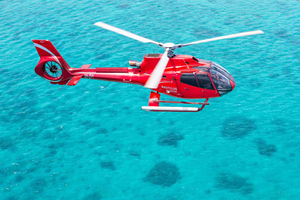 Unforgettable Cairns Experiences: Embrace the Current Season