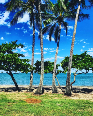 Palm Cove Beach Resort
