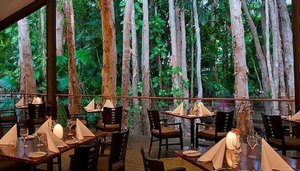 Paperbark Restaurant