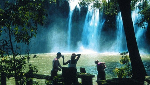 Paronella Park