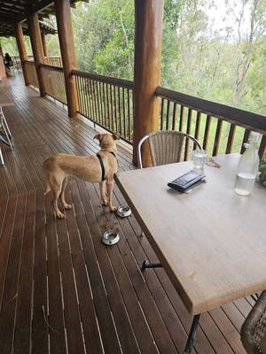 Skybury Coffee Bar