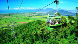Skyrail Rainforest Cableway