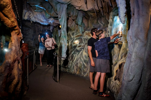 The Crystal Caves