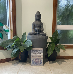 TNQ Holistic Therapies