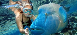 Great Barrier Reef