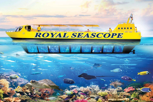 Kairo: Ain Sokhna Semi-Submarine valinnaisella kuljetuksella.