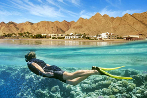 Cairo: Day Tour to the Red Sea with Lunch