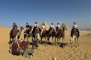 Cairo: Giza Pyramids & Grand Egyptian Museum Tour with Lunch