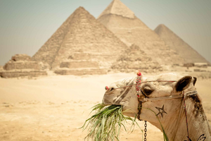 Kairo: Cafeluccassa lounas ja Pyramidikierros.