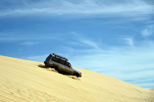 Caïro: Fayoum-woestijnsafari, Wadi al-Hitan & sandboarden