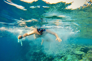 Do Cairo: Viagem de snorkeling num iate com almoço