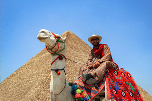 From Sharm: Cairo Tailor Made Private Tour with Guide
