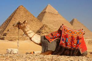 Hurghada: 2-dagars tur i Kairo med pyramiderna och Grand Museum