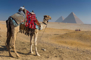 Hurghada: Cairo Pyramids, GEM & Citadel Tour by Flight